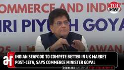 'No Compromises, Only Benefits': Piyush Goyal Explains 'Historic' India-UK Trade Deal | FTA News Clip