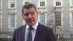 Tax cuts and child supports to dominate Ireland’s pre-election budget News Clip