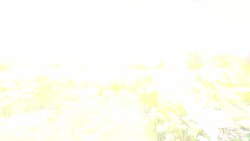 What Happens To Bees When They Get Lost? Instructional Video