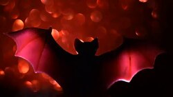 Atmosphere of Halloween Stock Footage