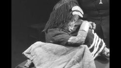 Body of frozen, mummified Inca boy, preserved for at least 500 years and found in Andes Mountains, is exhibited in Santiago, Chile News Clip