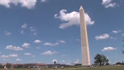 The Cherry Blossom Festival: Celebrating Friendship and Beauty Instructional Video