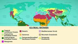 What Are Ecosystems? Crash Course Geography Instructional Video