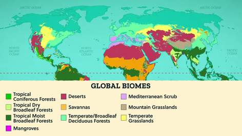 What Are Ecosystems? Crash Course Geography