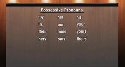 Review for You: Possessive Pronouns Instructional Video
