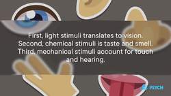 Do we have more than 5 senses? Instructional Video