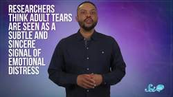 Why Does Crying Make You Feel Better? Instructional Video