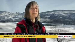 Could ending a water treaty help Canada fight U.S. tariffs? News Clip