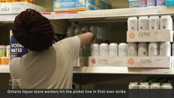 LCBO strike closes Ontario liquor stores across province News Clip