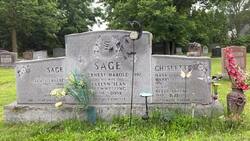 Waterloo region's oldest settler cemetery has been handed over to the City of Cambridge News Clip