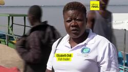 Africa’s freshwater fish under threat as stocks decline News Clip