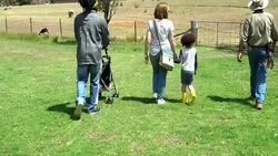 A family with two children visited an organic farm Stock Footage