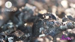 What’s the Dirt on... Dirt? Instructional Video