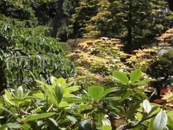 Keeping Earth Healthy: Video Review Instructional Video