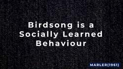 Social Learning Theory in 4 Minutes 👨‍👧‍👦 How people learn from others 👨‍👧‍👦 Psychology Instructional Video