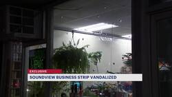 Vandalism at Soundview businesses sparks safety concerns News Clip