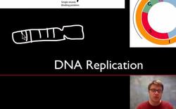 Unit 5 Review - Genetics Instructional Video