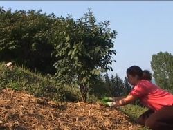 Sustainability and Natural Resources: Summing Up Instructional Video