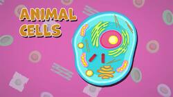 I WONDER - What Are The Different Types Of Cells? Instructional Video