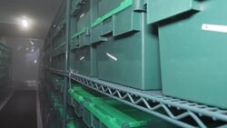 Sanger Institute respiratory virus testing and research News Clip