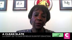 Los Angeles Will Clear Up to 50,000 Cannabis Convictions News Clip