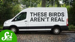 These Birds Aren’t Real Instructional Video