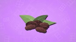 High Five Facts - Chocolate Instructional Video