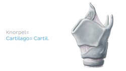 Anatomische Abkürzungen Instructional Video