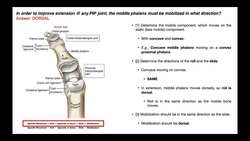 Interphalangeal Joint Mobilizations [with Convex-Concave Rules] Instructional Video