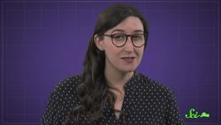 Why are Dead Bugs Always on Their Backs Instructional Video