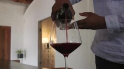 CLEAN : Black South Africans break into once white-only wine industry News Clip