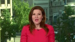 Will Brexit affect U.S. presidential race? News Clip