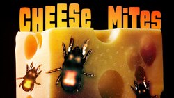 These Mites Give Cheese Its Flavor Instructional Video