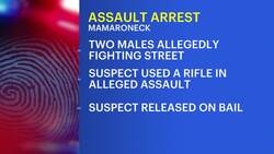 Police: 33-year-old man arrested for assaulting person with rifle in Mamaroneck News Clip
