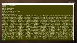 How to use the env command: 2-Minute Linux Tips Instructional Video