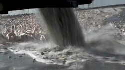 CLEAN : Migrating great white pelicans feed on fish as part of Israel project News Clip