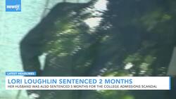 Newsy's Latest Headlines News Clip