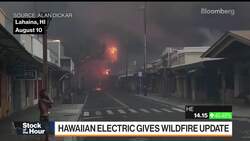 Hawaiian Electric Pushes Back on Cause of Wildfires News Clip