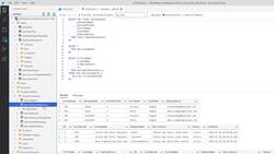Azure Data Factory for Beginners - Build Data Ingestion - Explaining the Get Email Addresses Stored Procedure Instructional Video