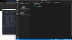 The Modern JavaScript Bootcamp (2019) - More on Variables Instructional Video