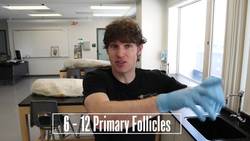 Understanding Ovulation Instructional Video