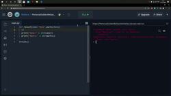Python In Practice - 15 Projects to Master Python - Arguments and Parameters Instructional Video
