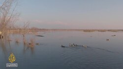 Kashmir’s wetland in crisis: Prolonged drought spells doom for bird sanctuary News Clip