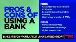 Stretching Your Dollar: When to Opt for a Credit Union Vs. Bank News Clip