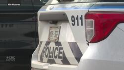 Charlottetown man pleads guilty to sexual assault and other crimes in TikTok luring case News Clip