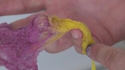 CLEAN : Passion for purple revives ancient dye in Tunisia News Clip