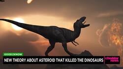 New Theory About Asteroid That Killed Dinosaurs News Clip