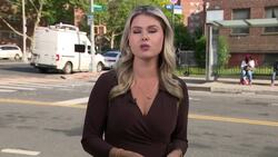 NYPD: 1-year-old in critical condition wasn't in car seat during Brownsville crash; drivers face charges News Clip