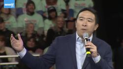 Andrew Yang Ends His 2020 Presidential Campaign News Clip