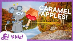 Experiment: Make Your Own Caramel Apples | SciShow Kids Instructional Video
